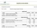 Exemplo de relatório da avaliação do joelho, com os resultados dos testes de força e mobilidade de cada perna